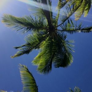 Meet your Posher, Ashlie